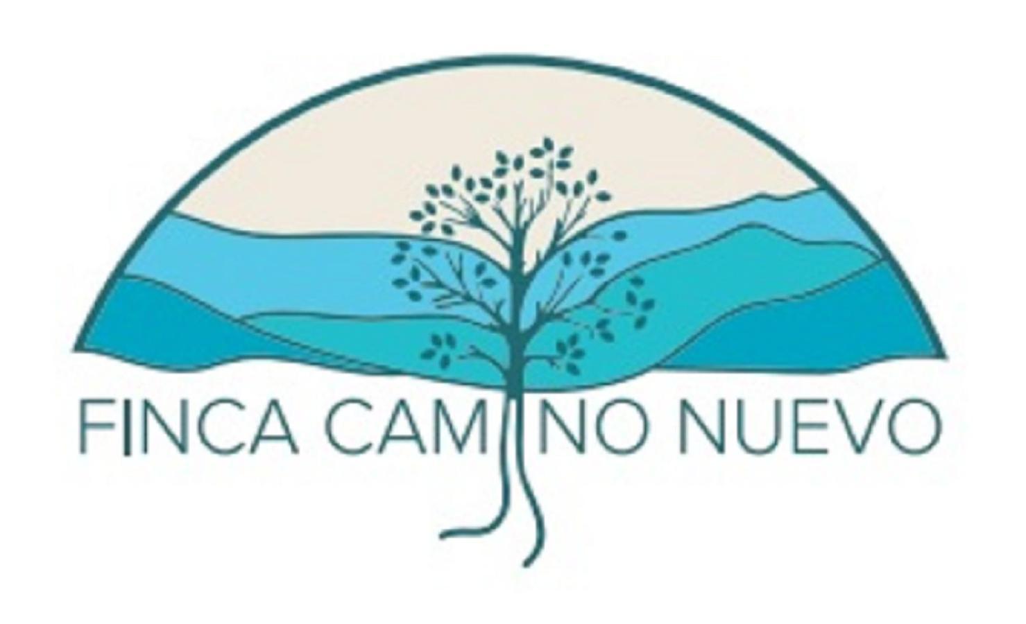 Camino Nuevo